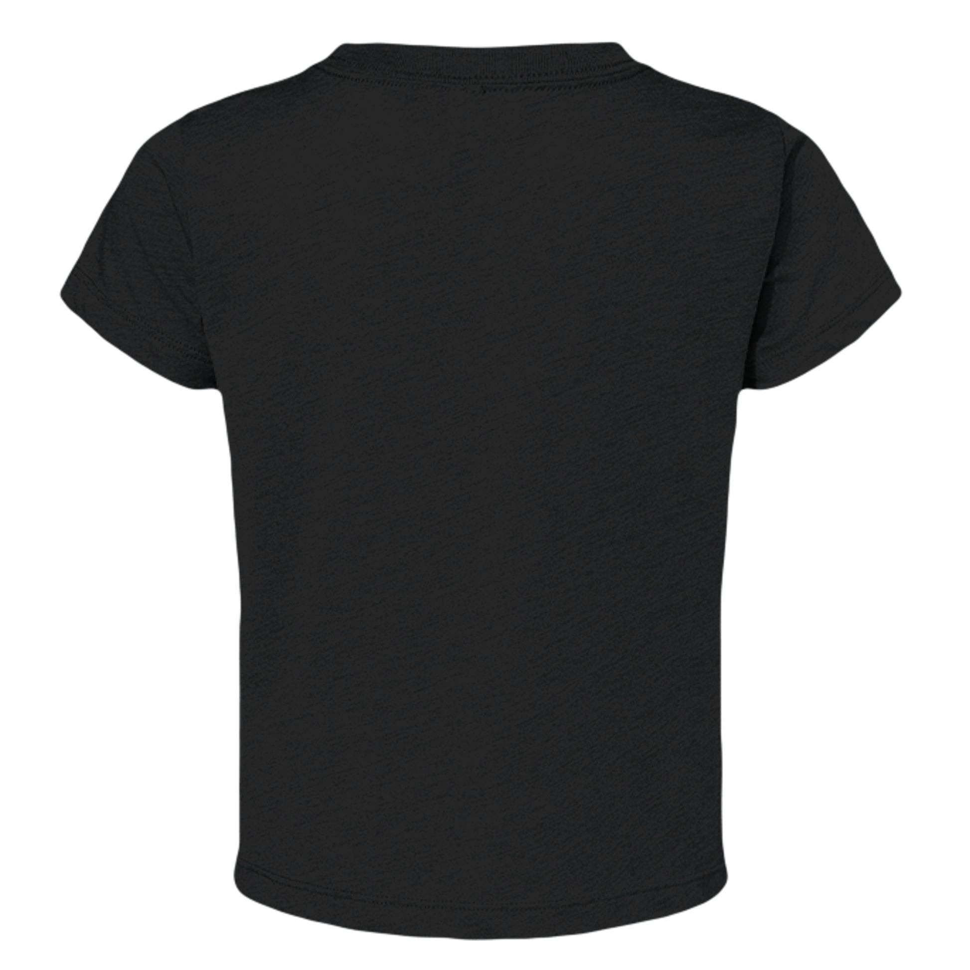 Solid Black Triblend - 3413T - BACK